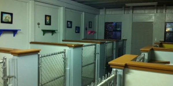 Kennel 1