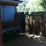 big dog yard