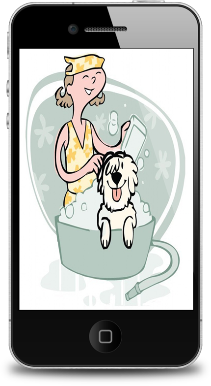 Contact Salon de Chien