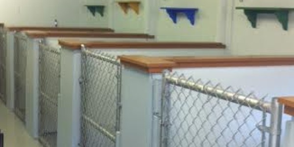 kennel 2