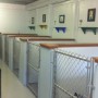 kennel 2