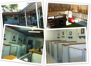 Board your dog at Salon de Chien in Youngsville, LA
