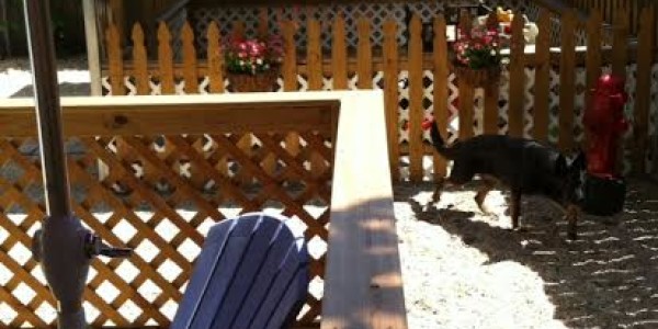 view from the deck