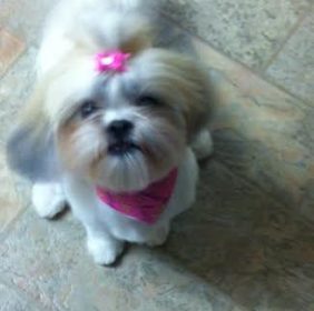 Macy