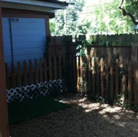 big dog yard