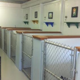 kennel 2