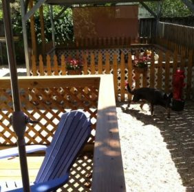 view from the deck